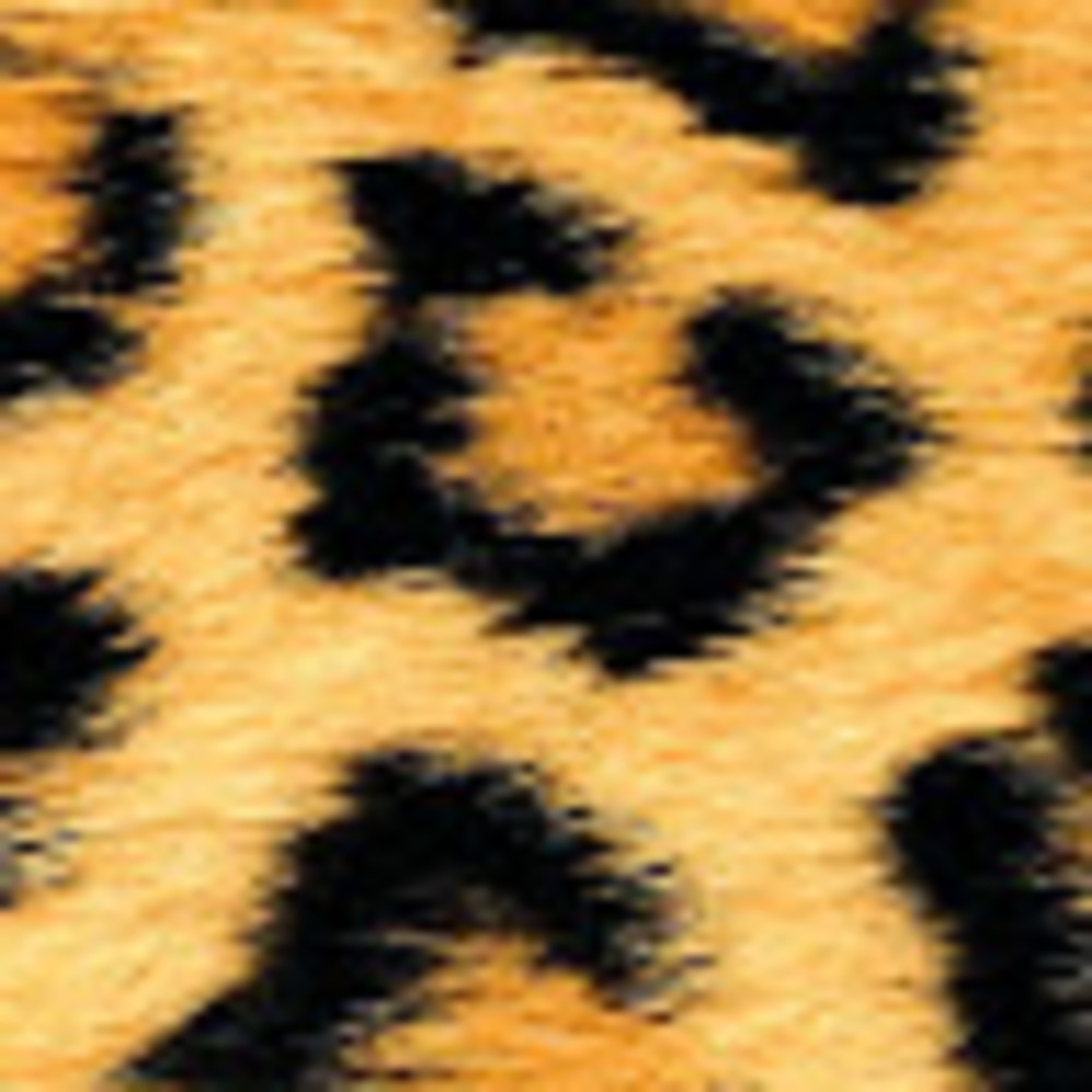 Meet your Posher, Sol